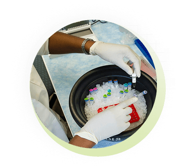 Pharmacologic Compatibility Test