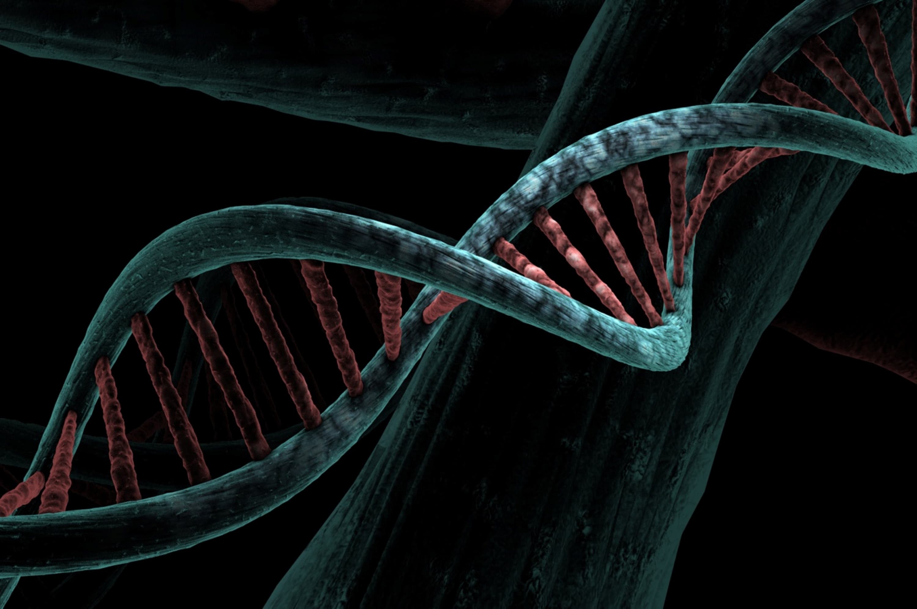 What is DNA and Why Is It Important?