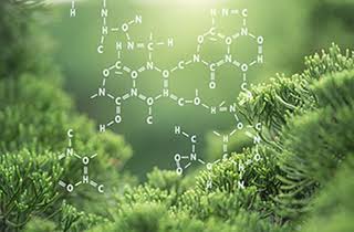 Understanding Gene-Environment Interactions: What Your DNA and Environment Mean for Your Health