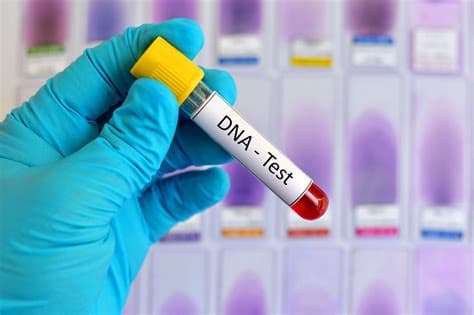 All You Need To Know About DNA Testing